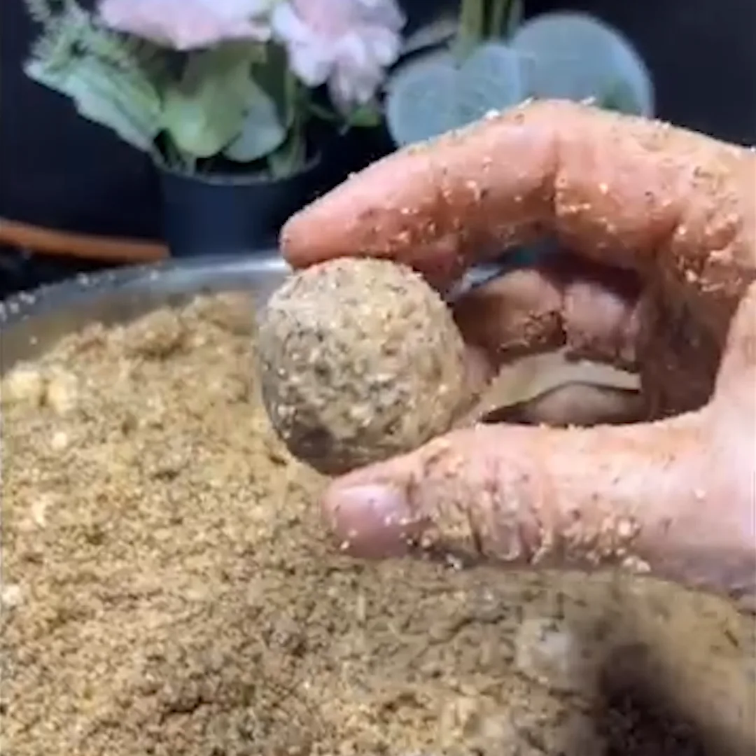 Homemade protein ball recipe