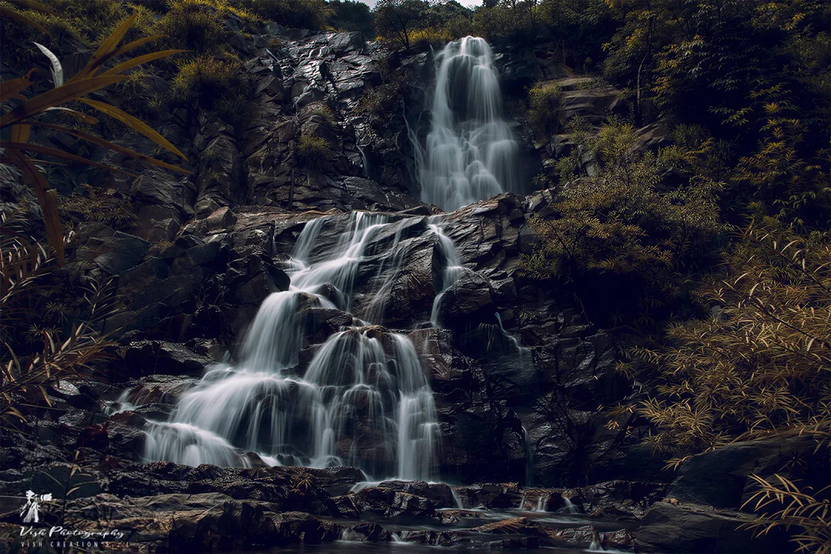 Photography by Vishal